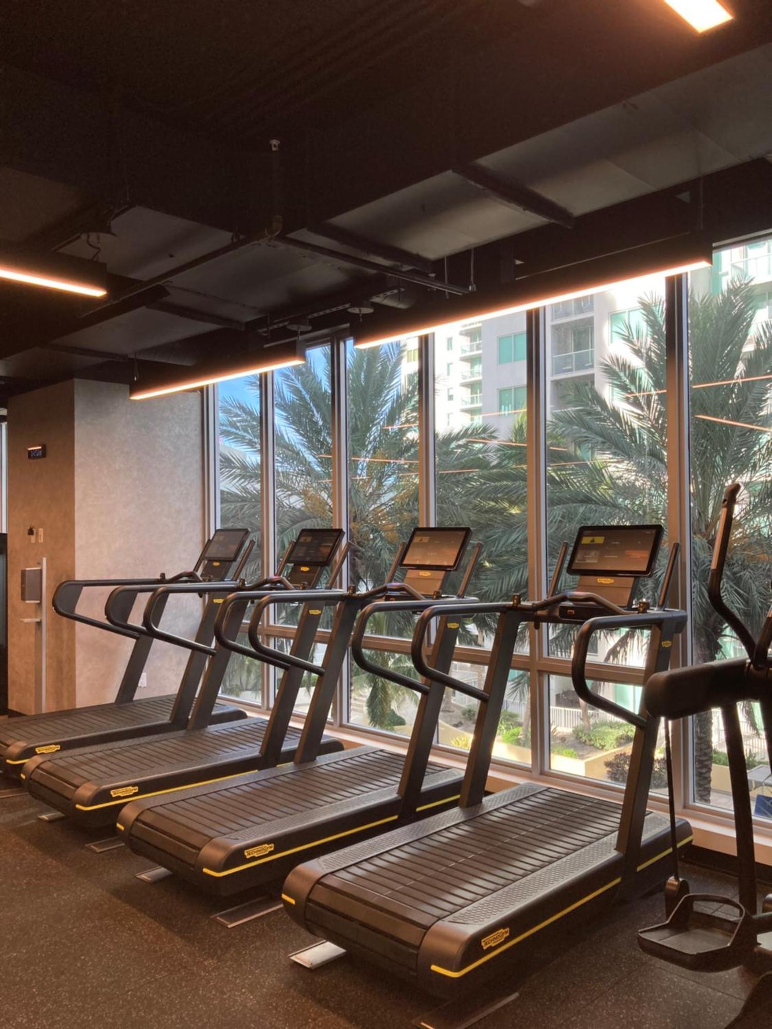 Brand New Modern 1 Bedroom Unit Downtown Appartement *